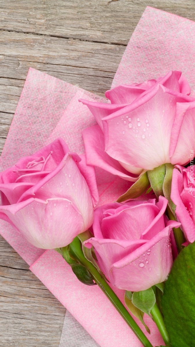 Róże na różowych serwetkach