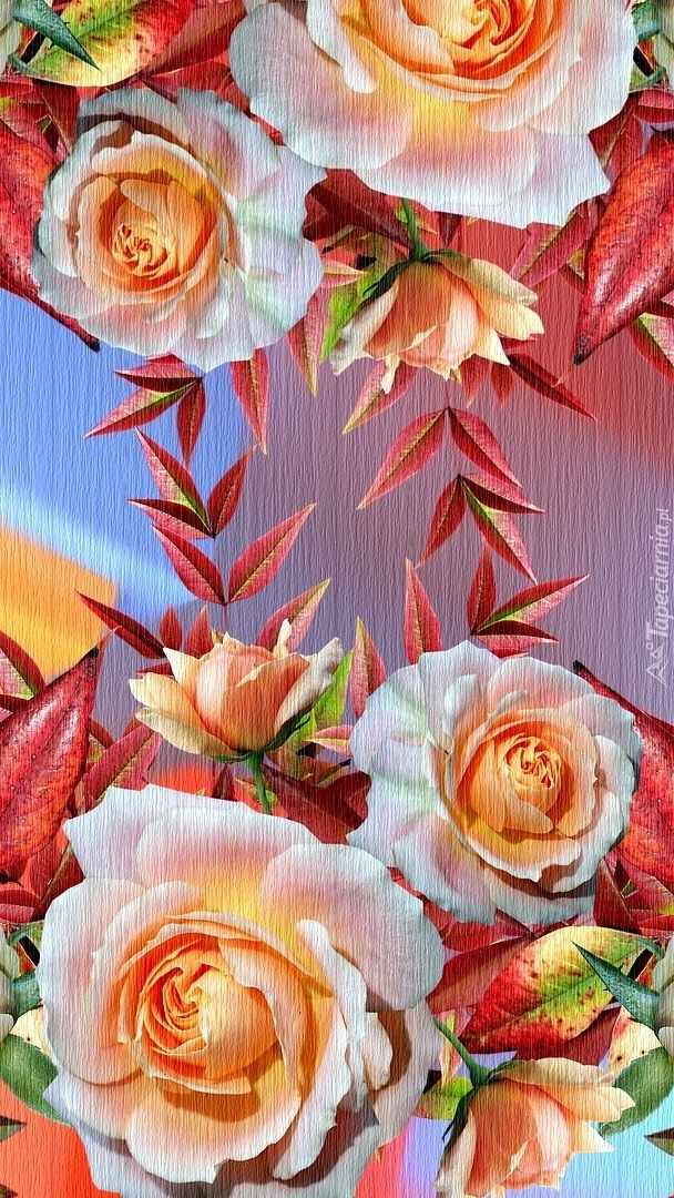 Róże w 2D