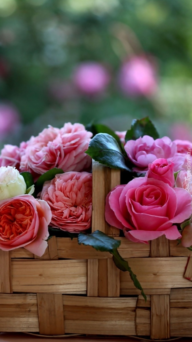 Róże w plecionym koszyku