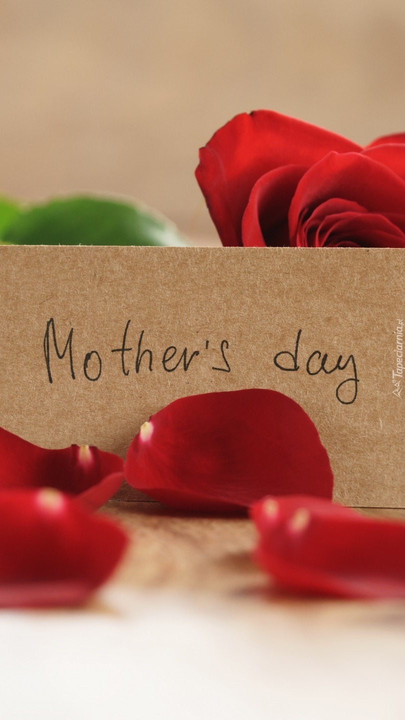 Róże z okazji Dnia Matki