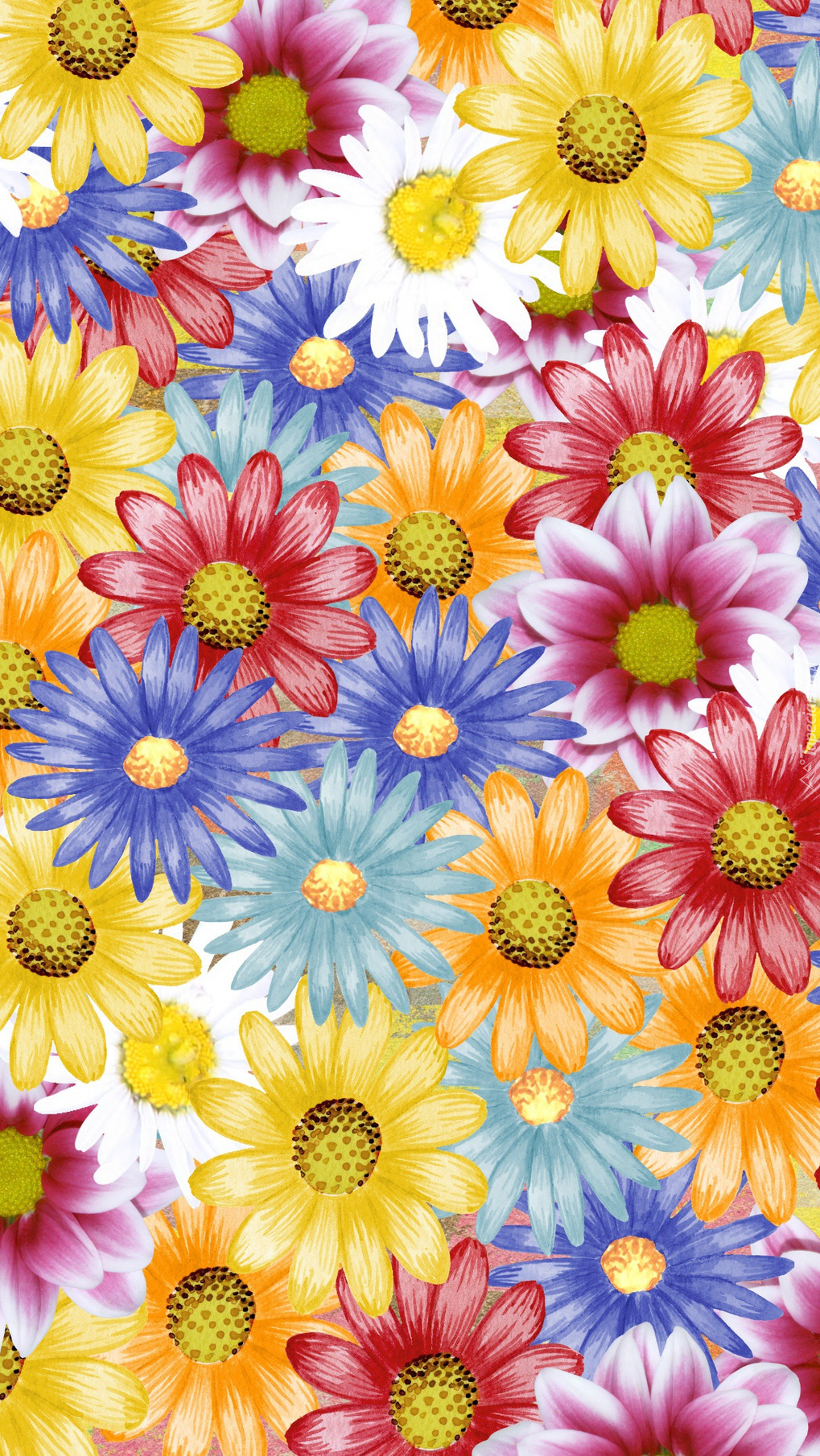Różnokolorowe kwiaty w grafice