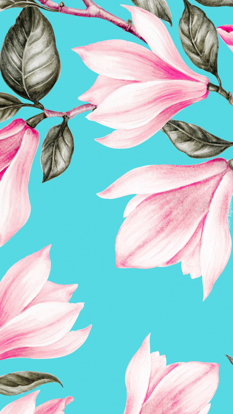 Różowa magnolia w grafice