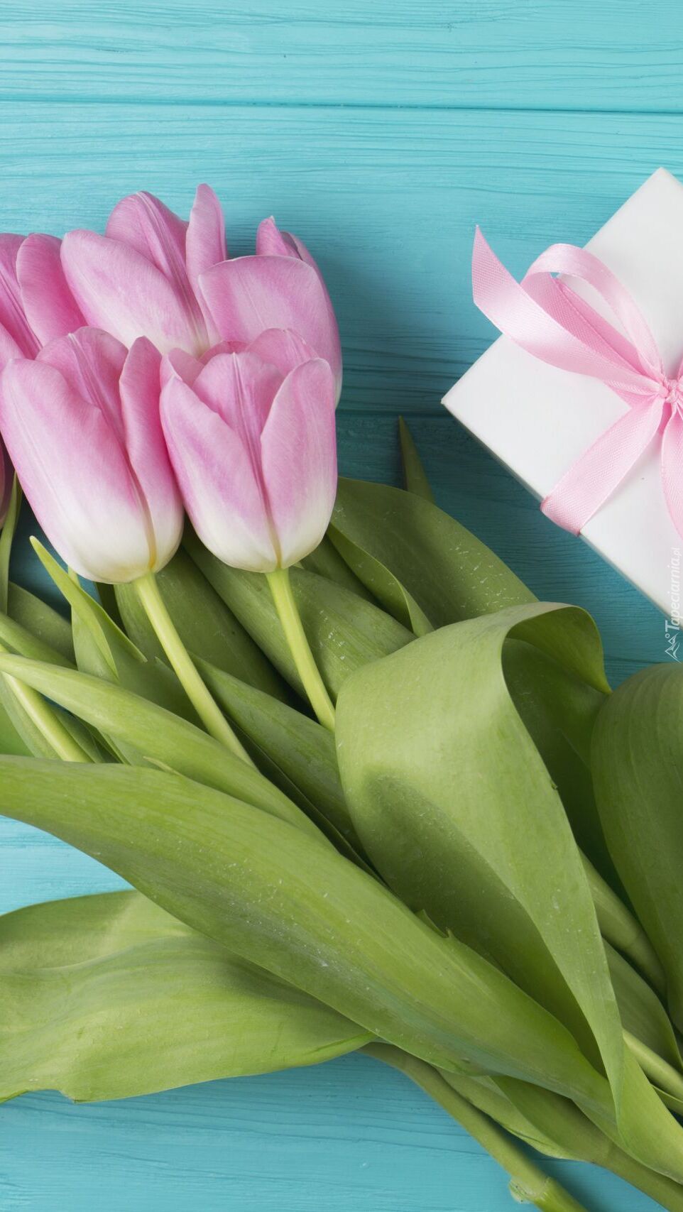 Różowe tulipany obok prezentu