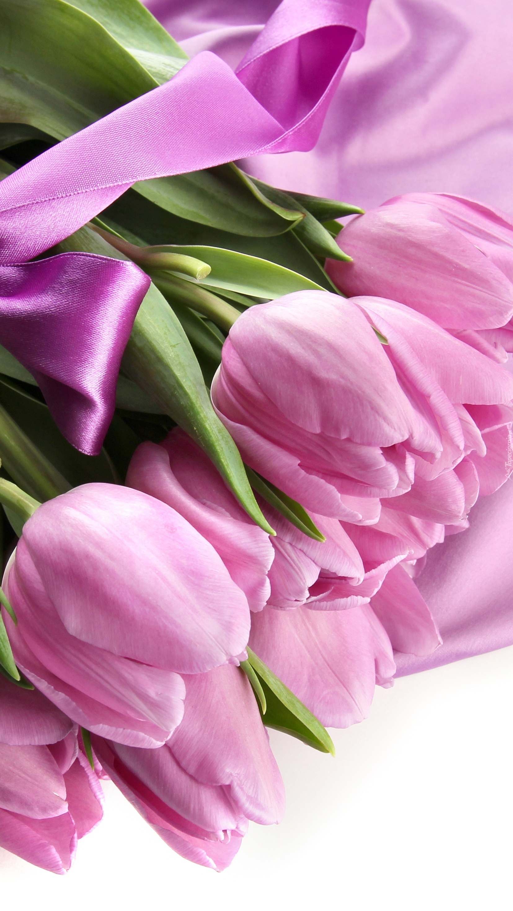 Różowe tulipany ze wstążką
