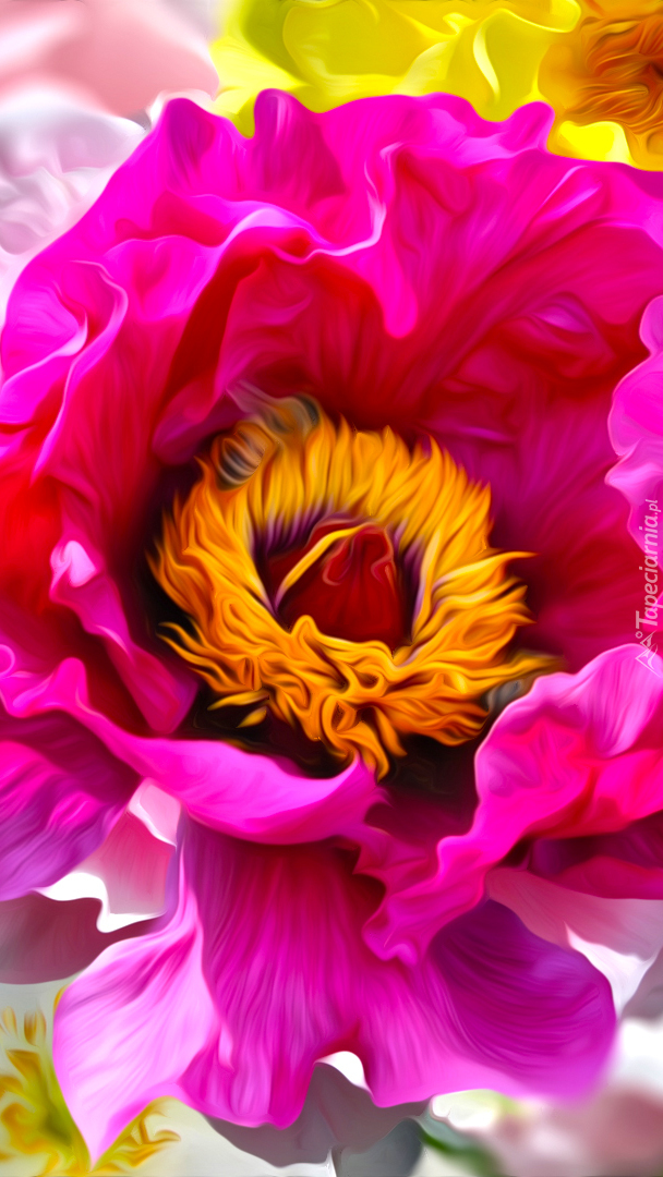 Różowy kwiat z żółtymi pręcikami
