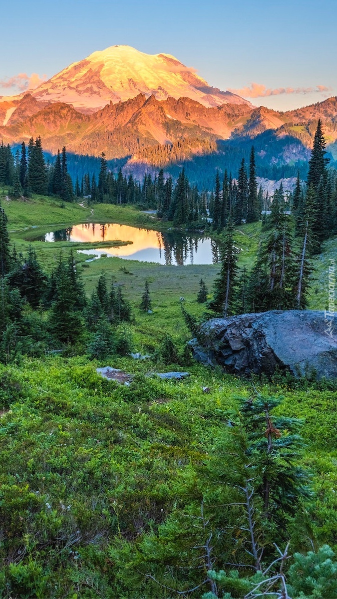 Rozświetlona góra Mount Rainier w Parku Narodowym Mount Rainier