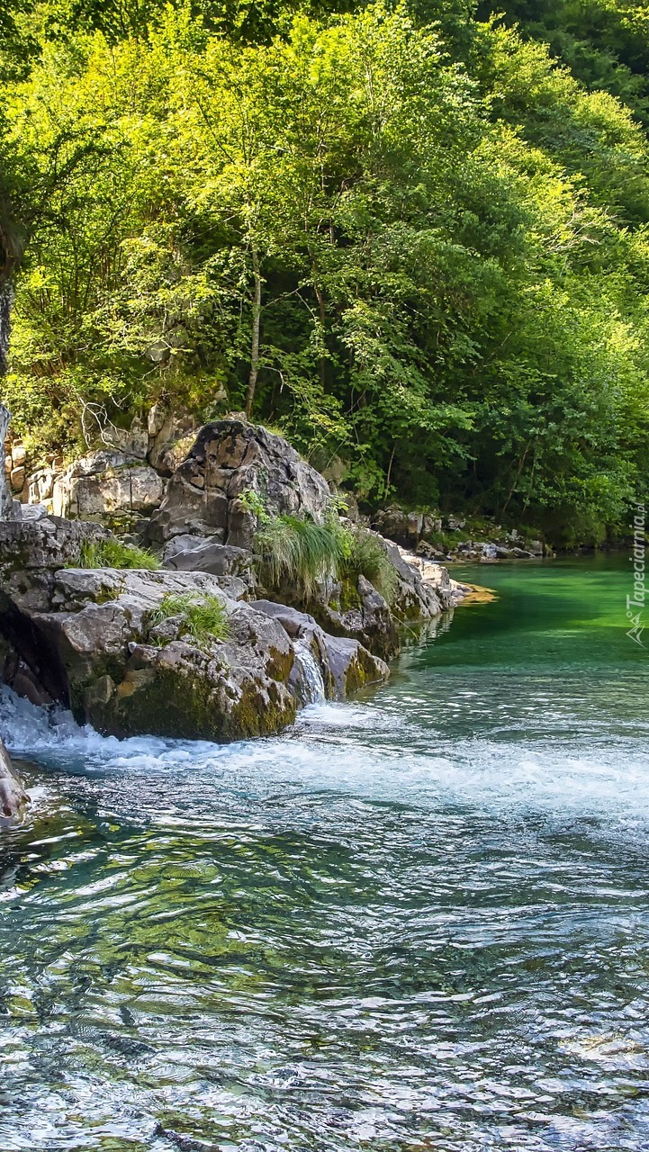 Rozświetlone drzewa i skały nad rzeką