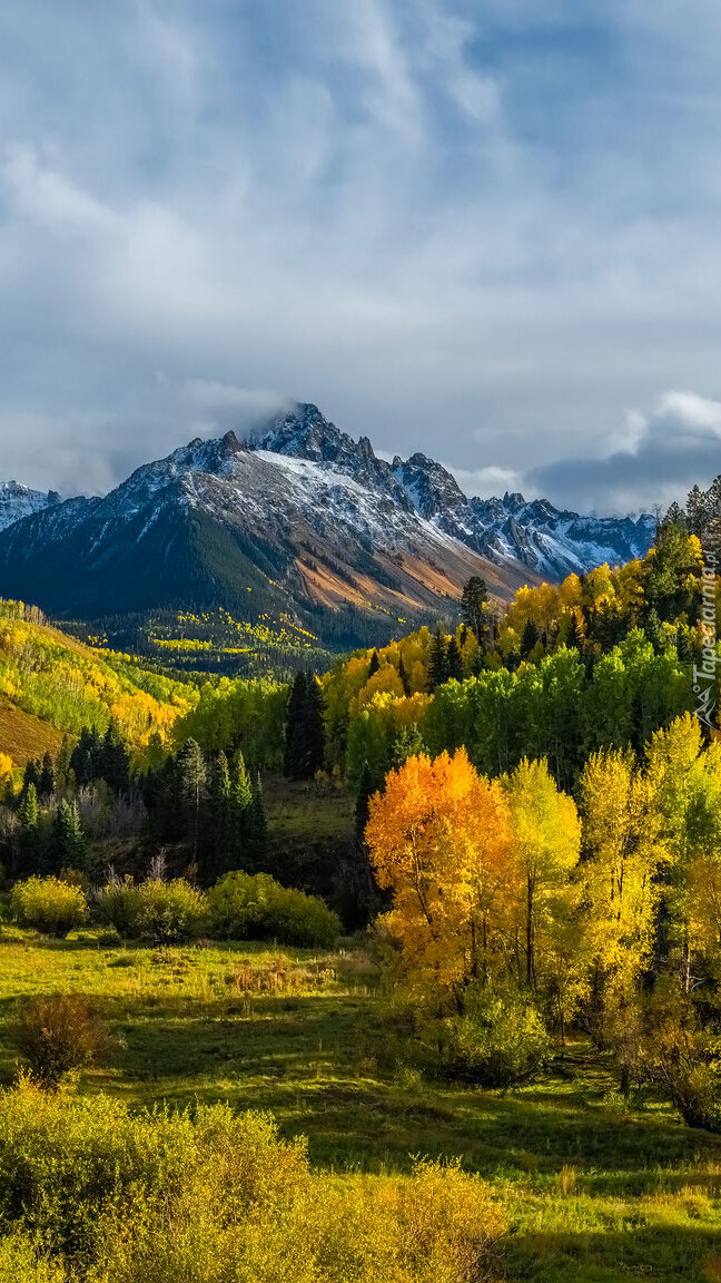 Rozświetlone drzewa na tle góry Mount Sneffels