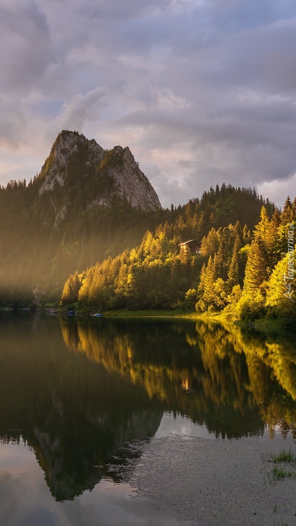 Rozświetlone drzewa nad jeziorem Lac de Taney