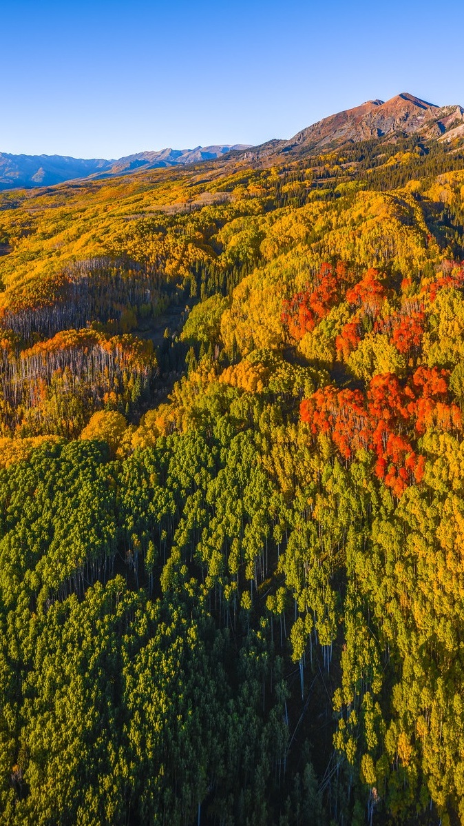 Rozświetlone jesienne drzewa na przełęczy Kebler Pass