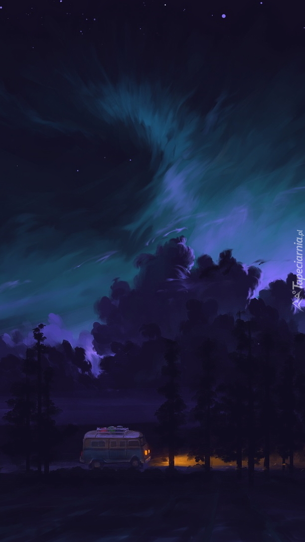 Rozświetlone nocą niebo nad lasem