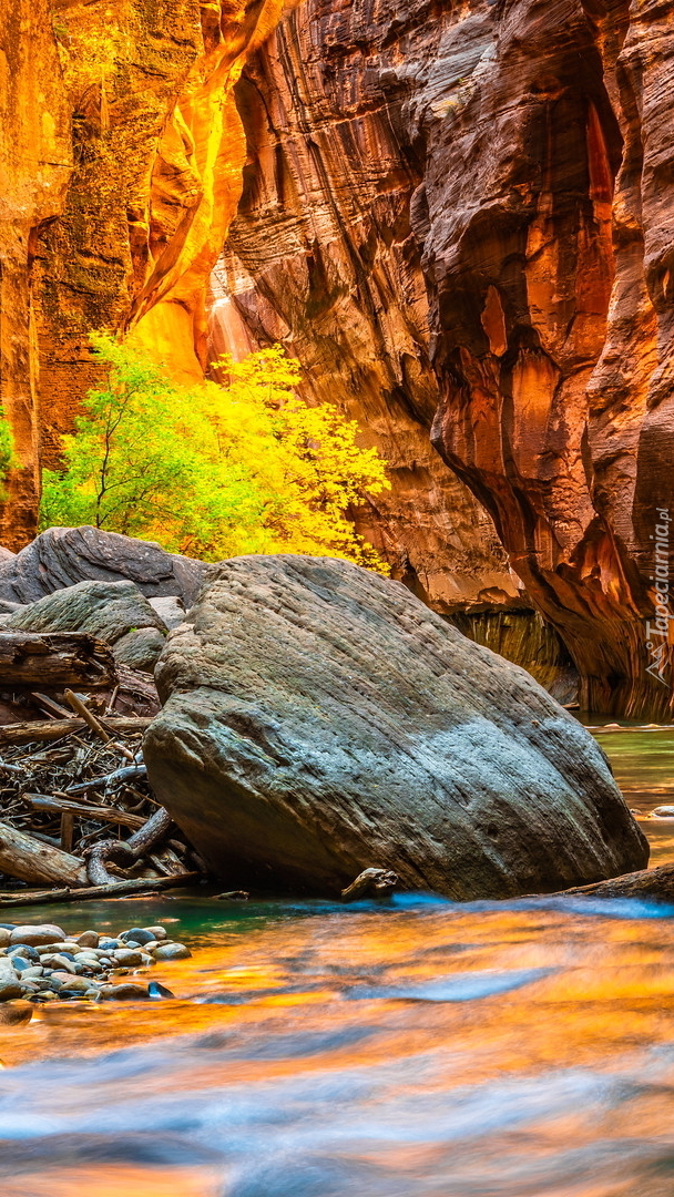 Rozświetlone skały w kanionie Zion Narrows