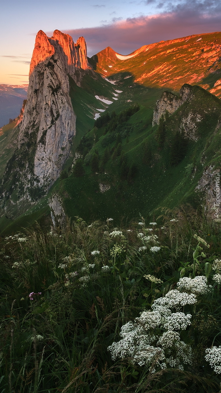 Rozświetlone szczyty Appenzeller Alpen w Szwajcarii