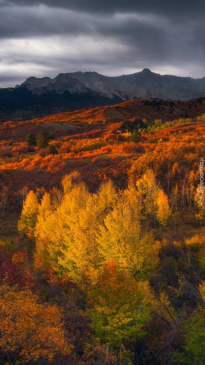 Rozświetlony jesienny las i góry pod chmurami