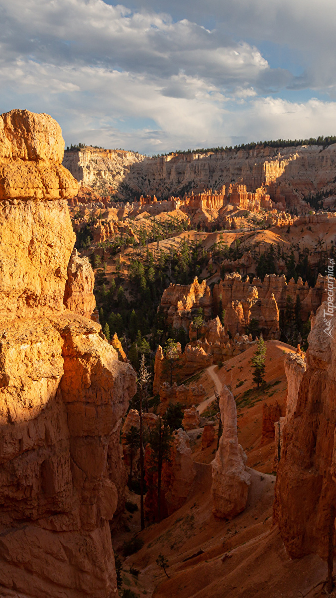 Rozświetlony Park Narodowy Bryce Canyon