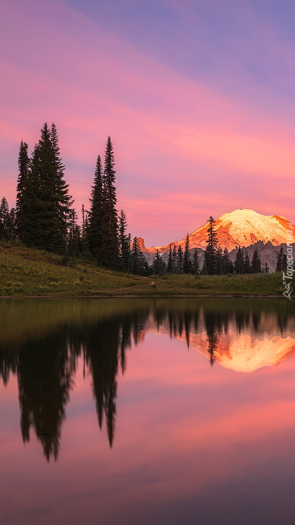 Rozświetlony stratowulkan Mount Rainier