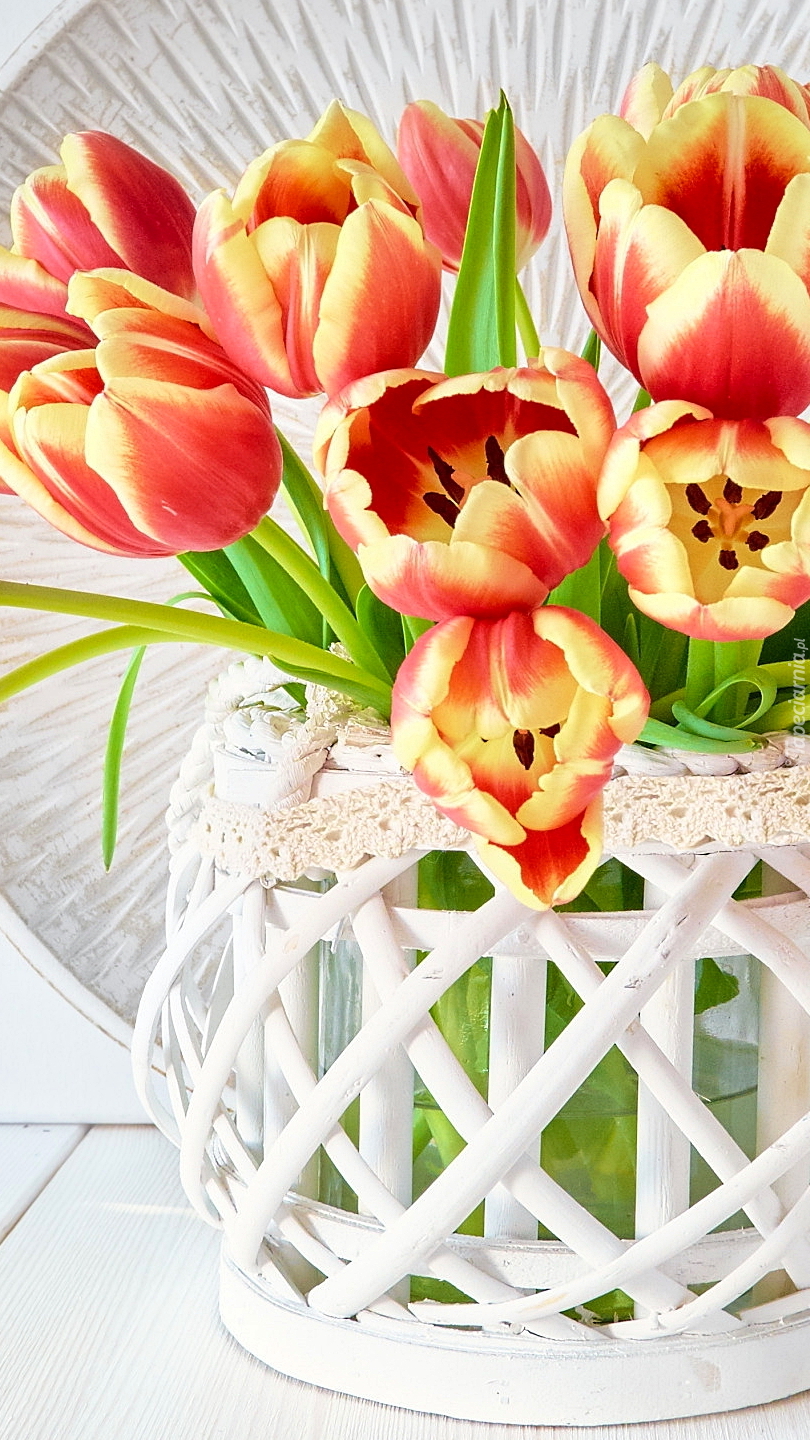 Rozwinięte tulipany w wazonie