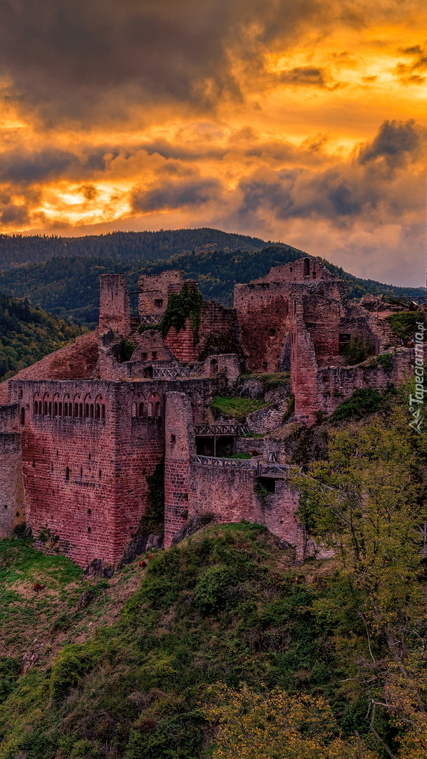 Ruiny zamku Castle Saint-Ulrich we Francji