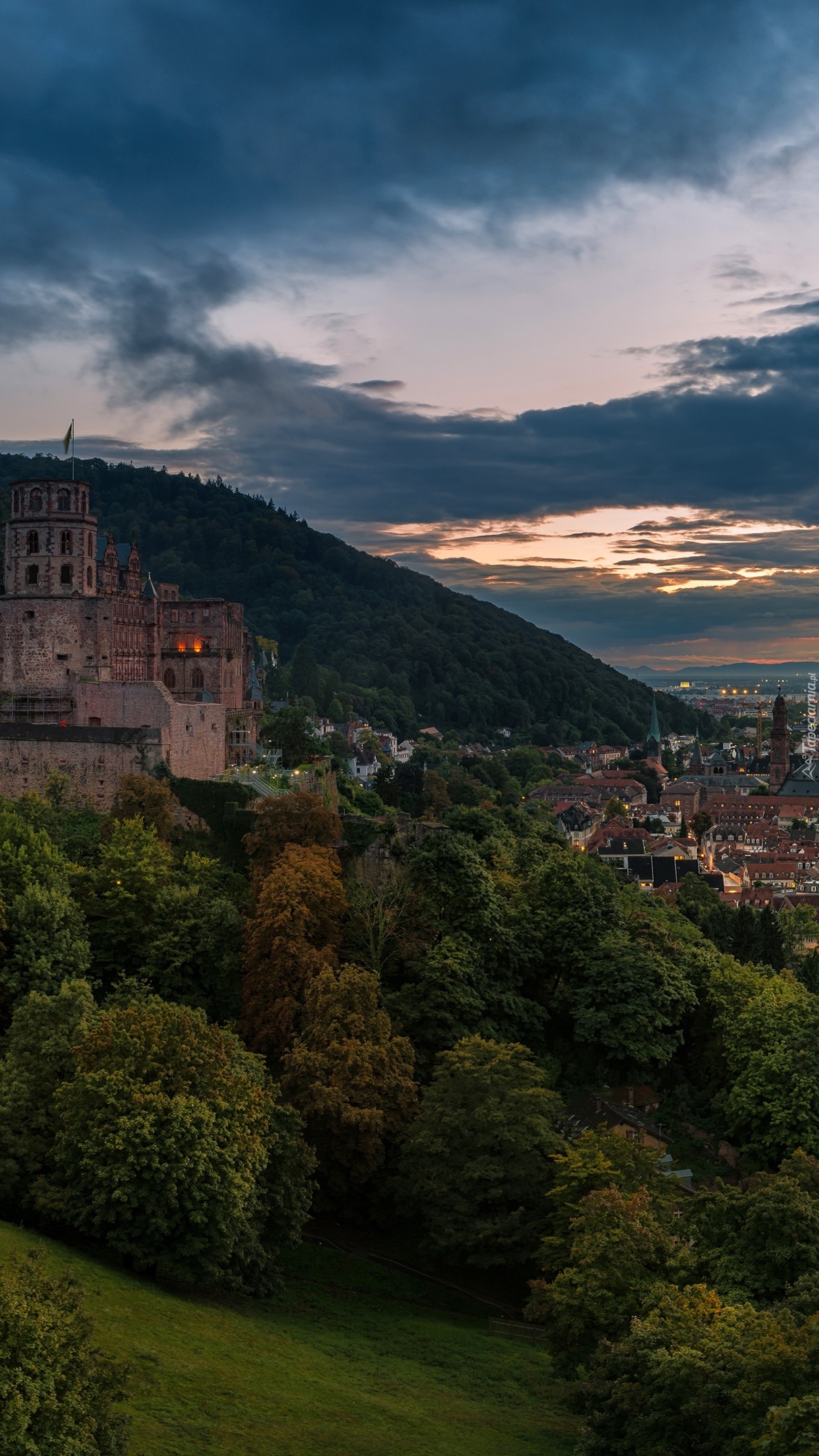 Ruiny zamku w Heidelberg