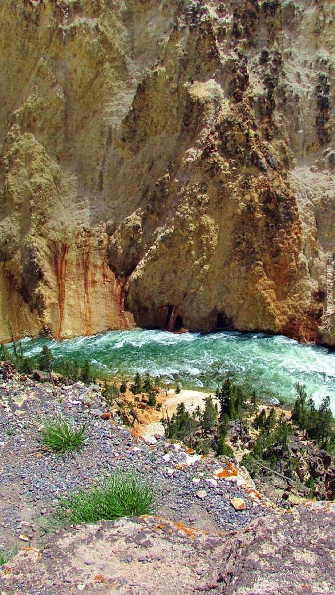 Rwąca rzeka w kanionie