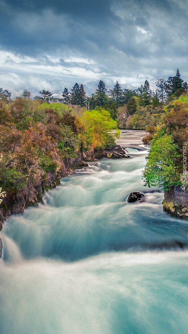 Rwąca rzeka Waikato River w Nowej Zelandii