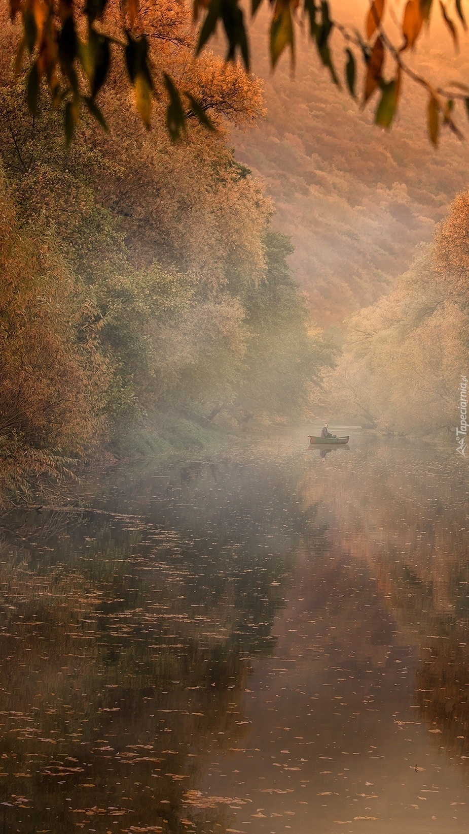 Rybak bladym świtem na rybach