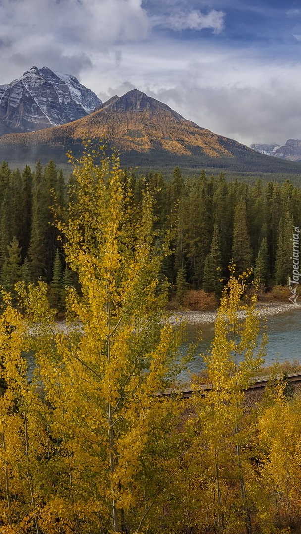 Rzeka Bow River i góry Canadian Rockies w oddali