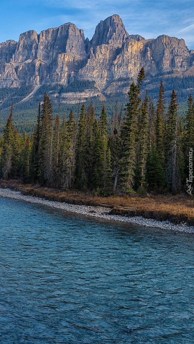 Rzeka Bow River i góry Canadian Rockies