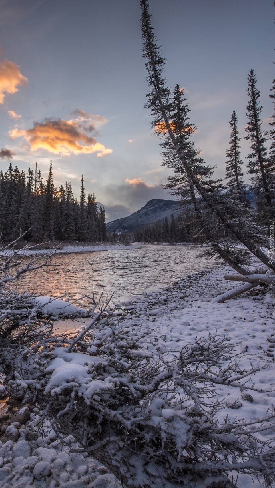 Rzeka Bow River