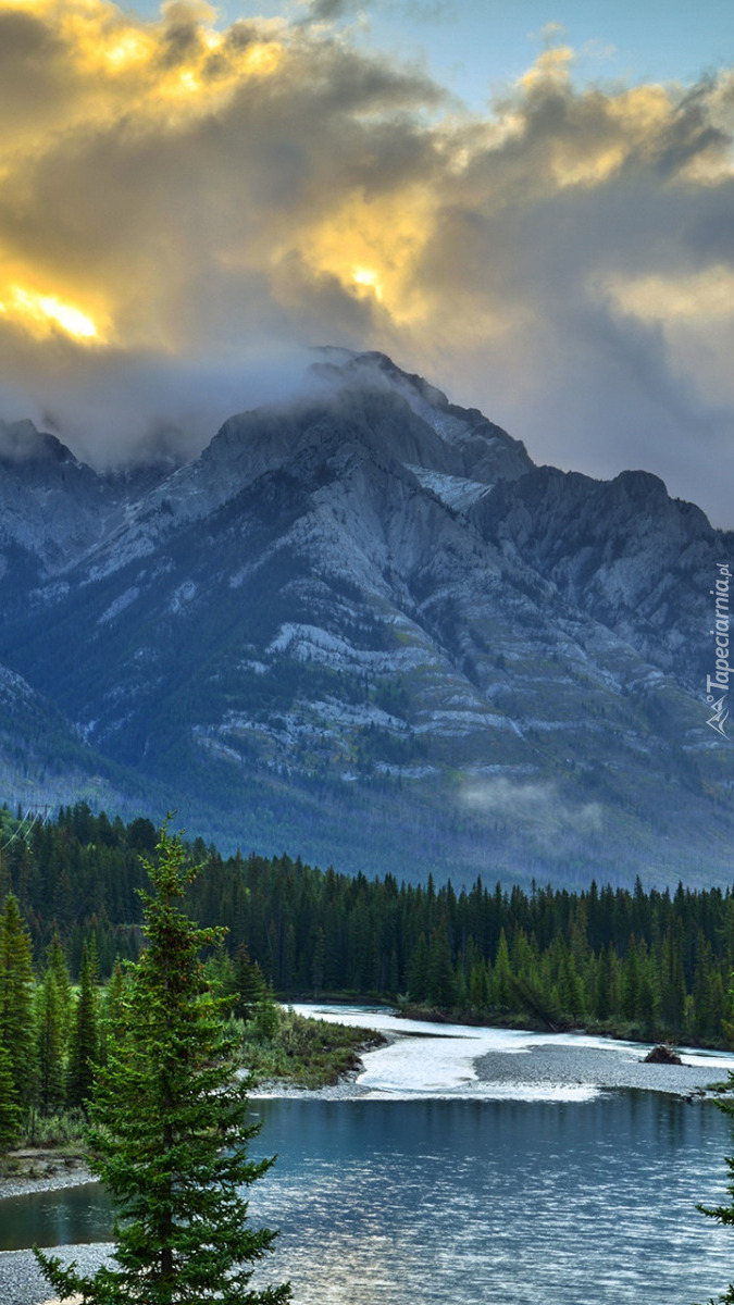 Rzeka Bow w Parku Narodowym Banff