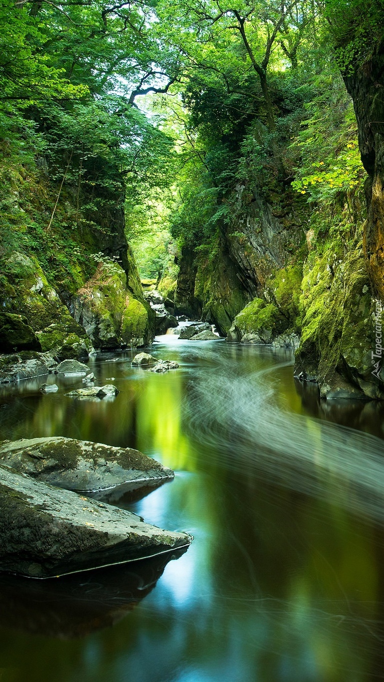 Rzeka Conwy w wąwozie Fairy Glen