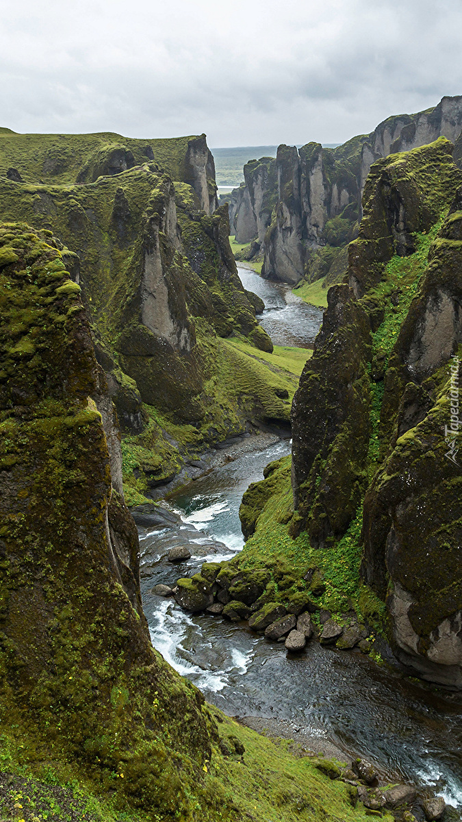 Rzeka Fjadra w kanionie Fjadrargljufur w Islandii