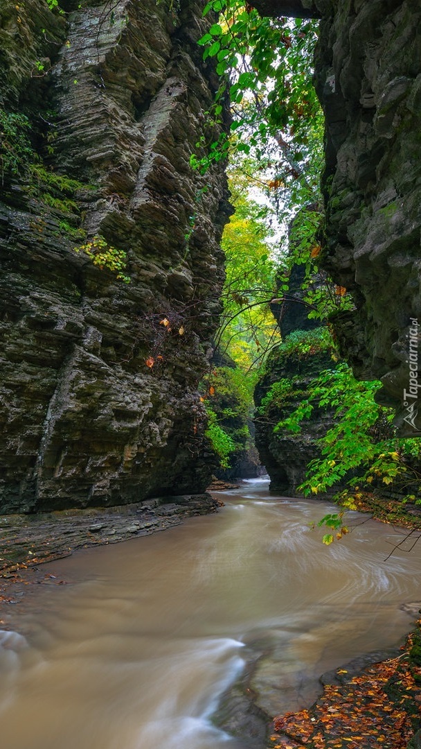 Rzeka Glen Creek w skalistym wąwozie