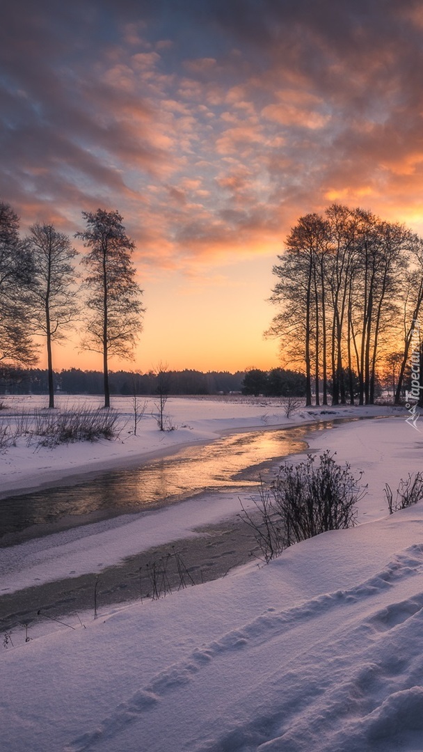 Rzeka Grabia zimową porą