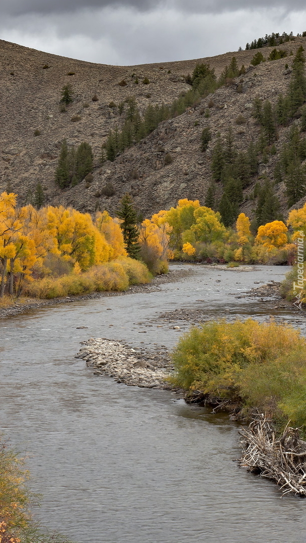 Rzeka Gunnison River i góry w Kolorado