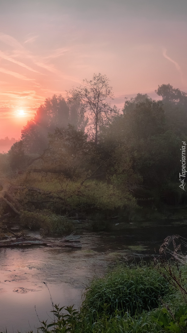 Rzeka Istra o wschodzie słońca