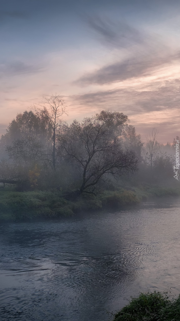 Rzeka Istra we mgle