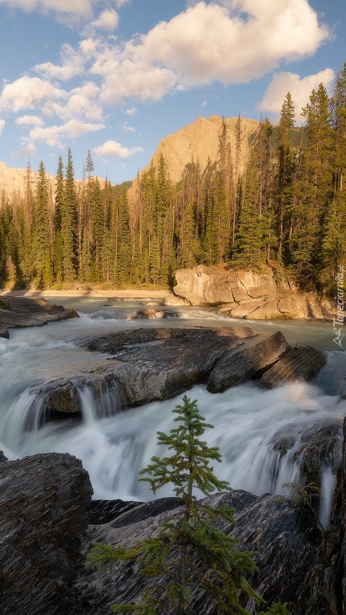 Rzeka Kicking Horse River i Góry Skaliste