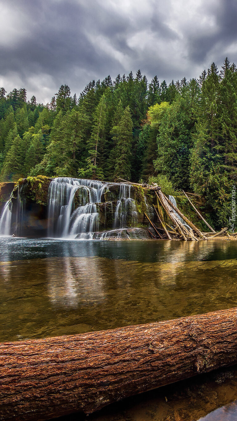 Rzeka Lewis River z wodospadem Lower Lewis River Falls