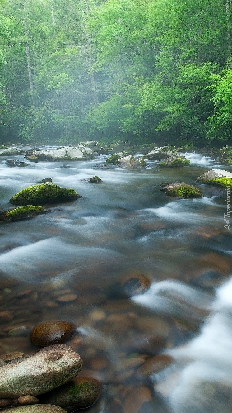 Rzeka Little River