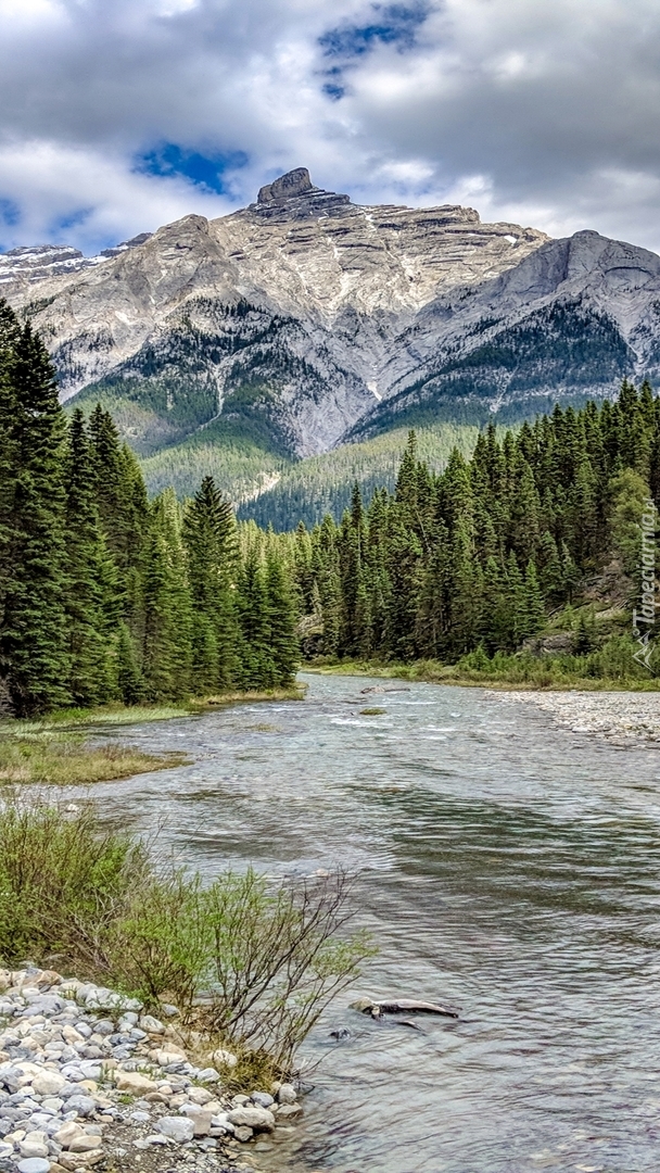 Rzeka na tle góry Mount Rundle