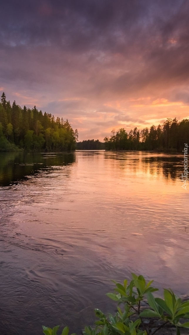 Rzeka Neitijoki w Finlandii