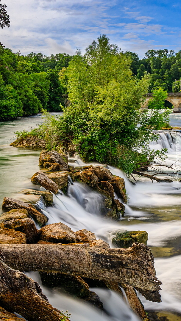 Rzeka Ren z wodospadem Rheinfall