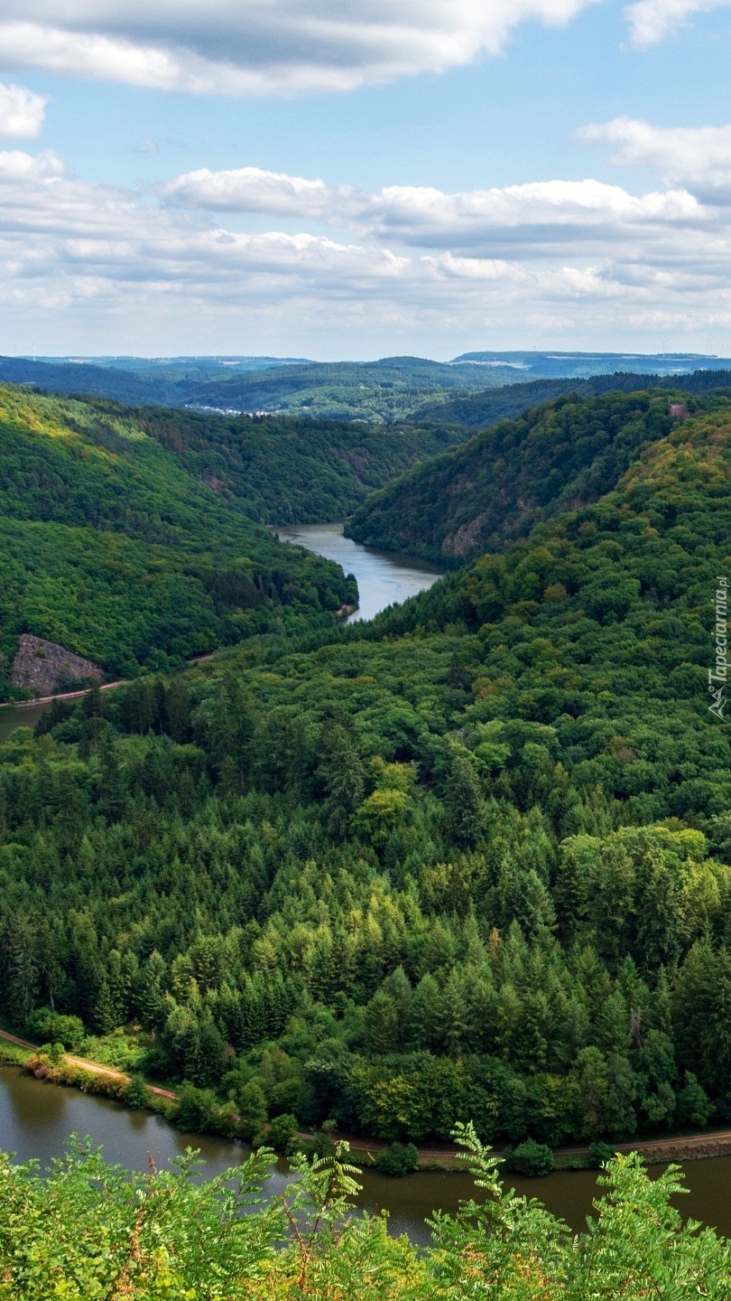 Rzeka Saara pośród drzew