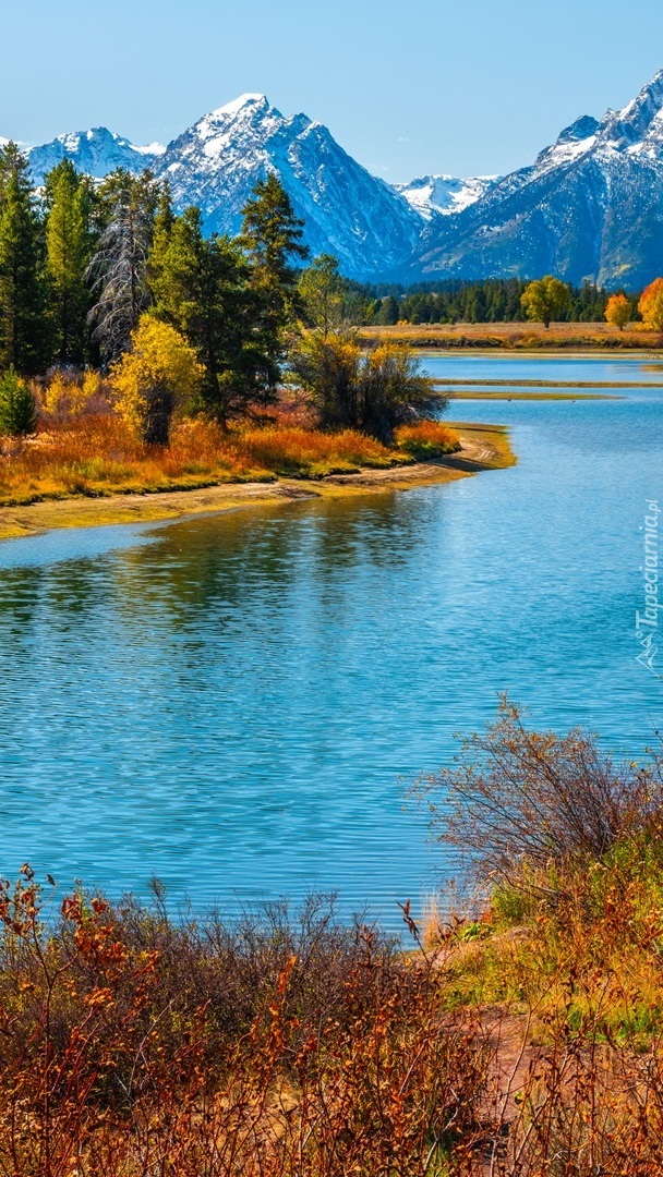 Rzeka Snake River i góry Teton Range