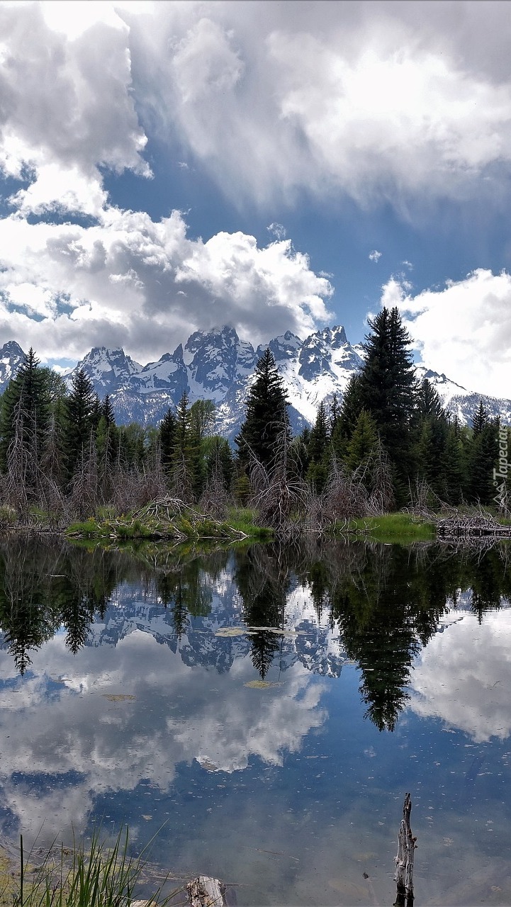 Rzeka Snake River na tle gór