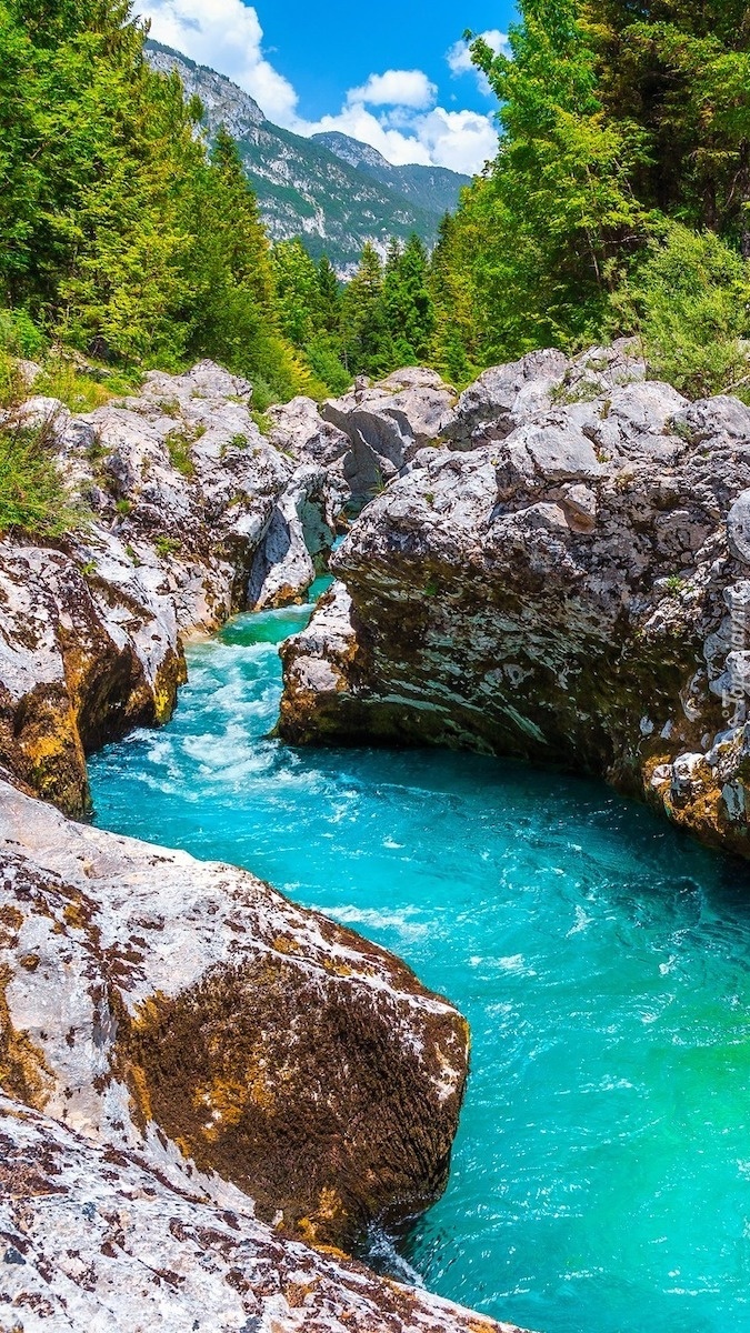 Rzeka Socza w skalistym wąwozie