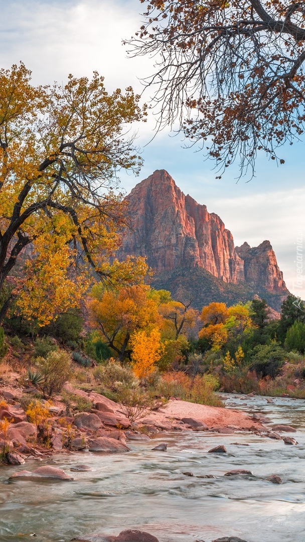 Rzeka Virgin River i góry Watchman w tle