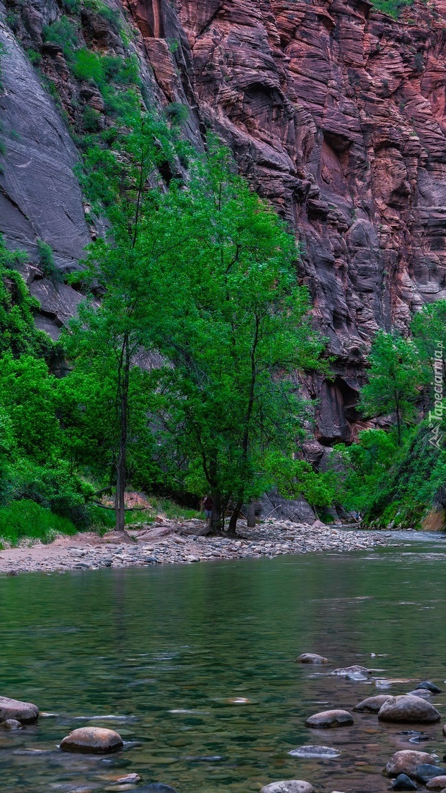 Rzeka Virgin River w kanionie Zion Narrows