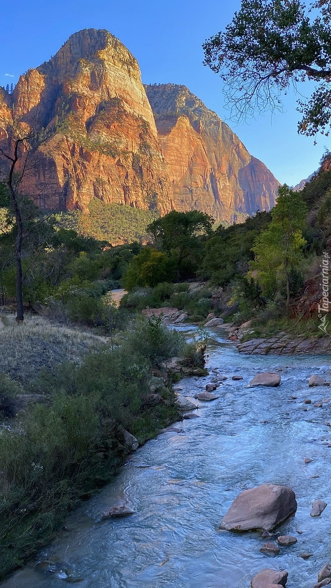 Rzeka Virgin River w Parku Narodowym Zion